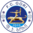 FC哥里 FC哥里