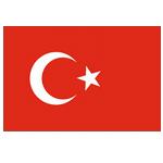 土耳其U19 土耳其U19